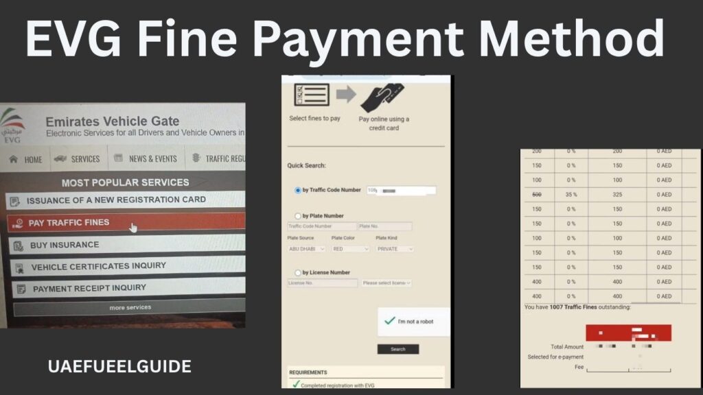 How to Pay EVG Fines