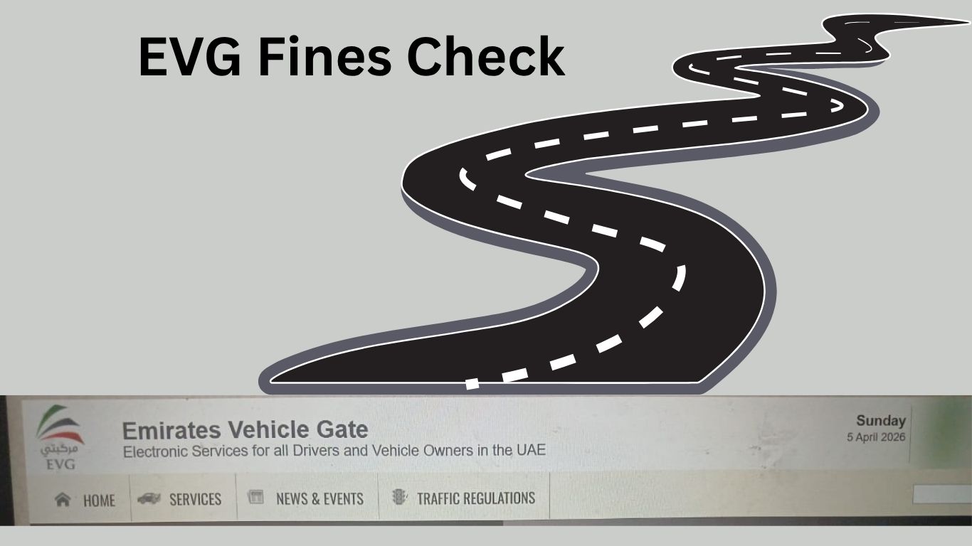 EVG Fine Check