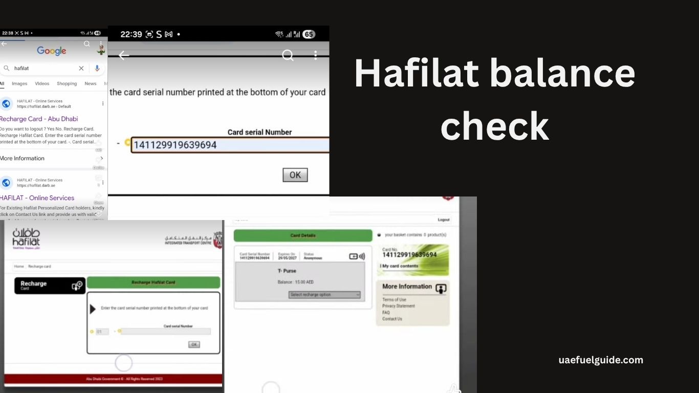 Hafilat Balance Check