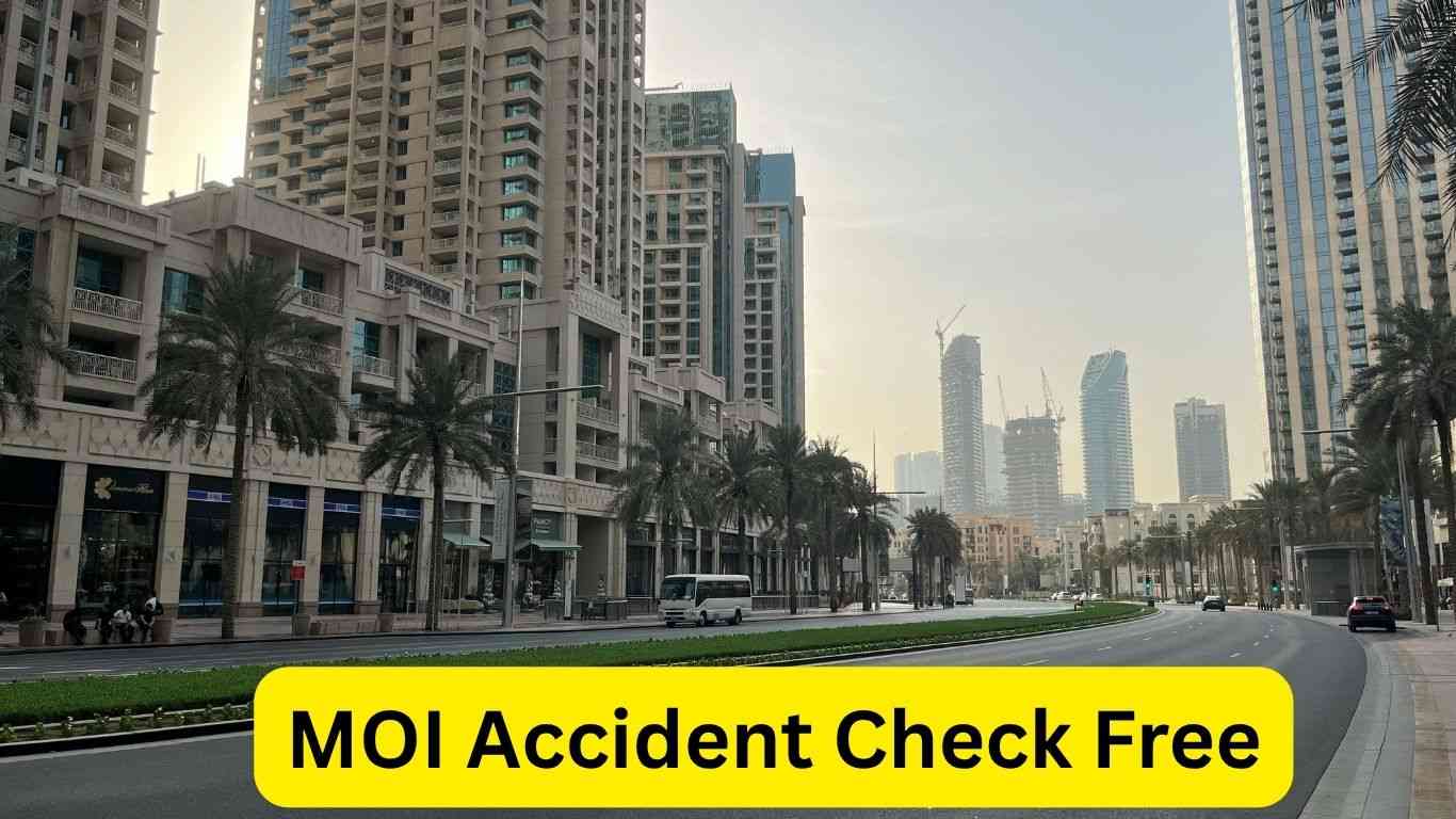 MOI Accident Check Free