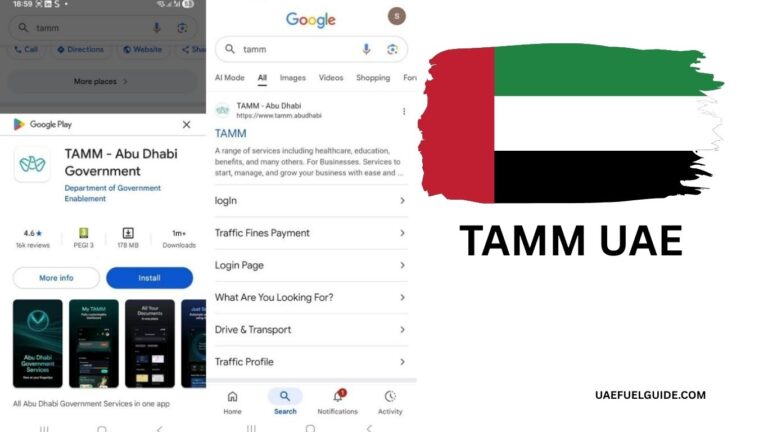 TAMM UAE – Complete Guide