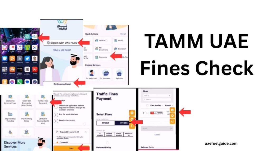 TAMM Traffic Fine Check